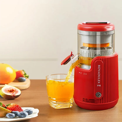 Juicing Machine